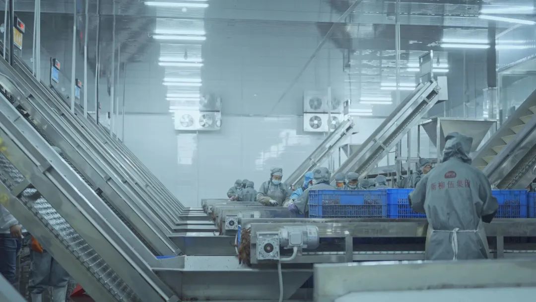 恒峰g22(国际)官网入口-天天有惊喜